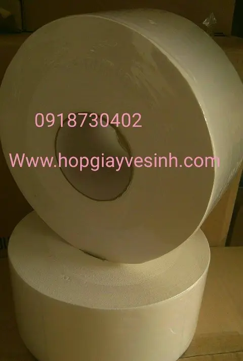 Giấy VỆ sinh cuộn LỚN(1000gr)
