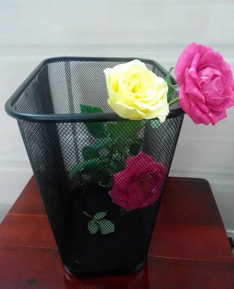 Thùng Rác, Sọt Rác Lưới
